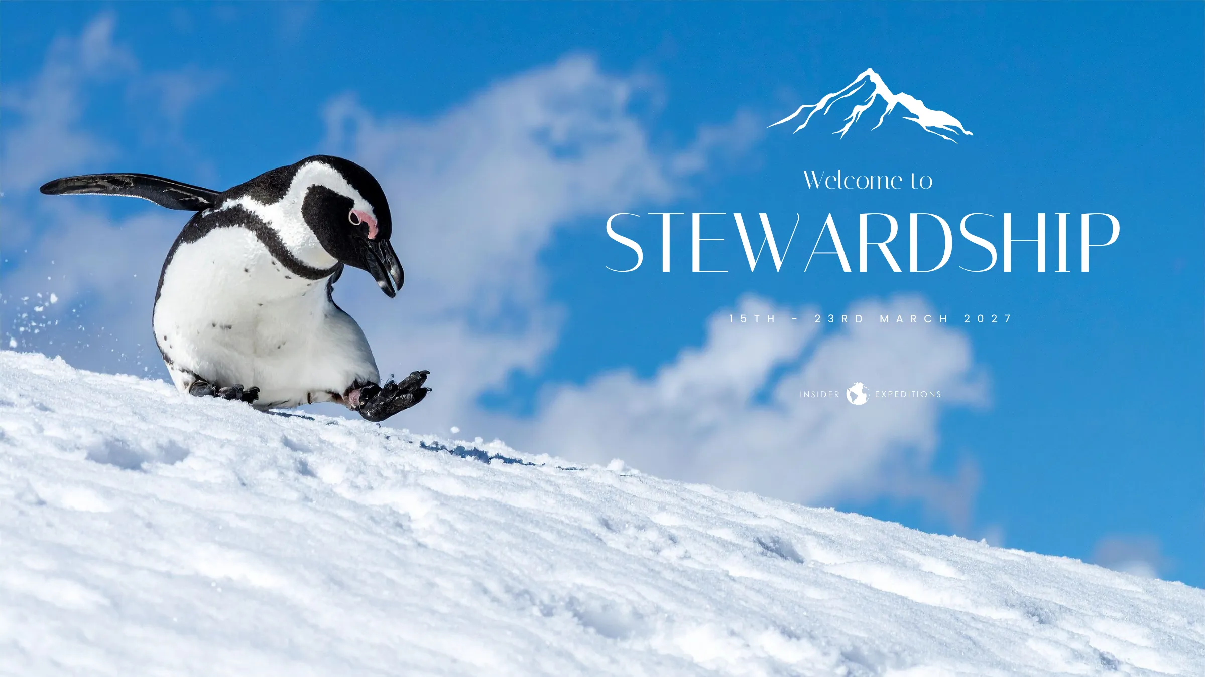 Stewardship Antarctica 2027